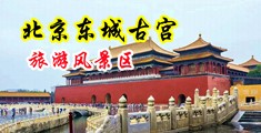 把大插入屄视频中国北京-东城古宫旅游风景区